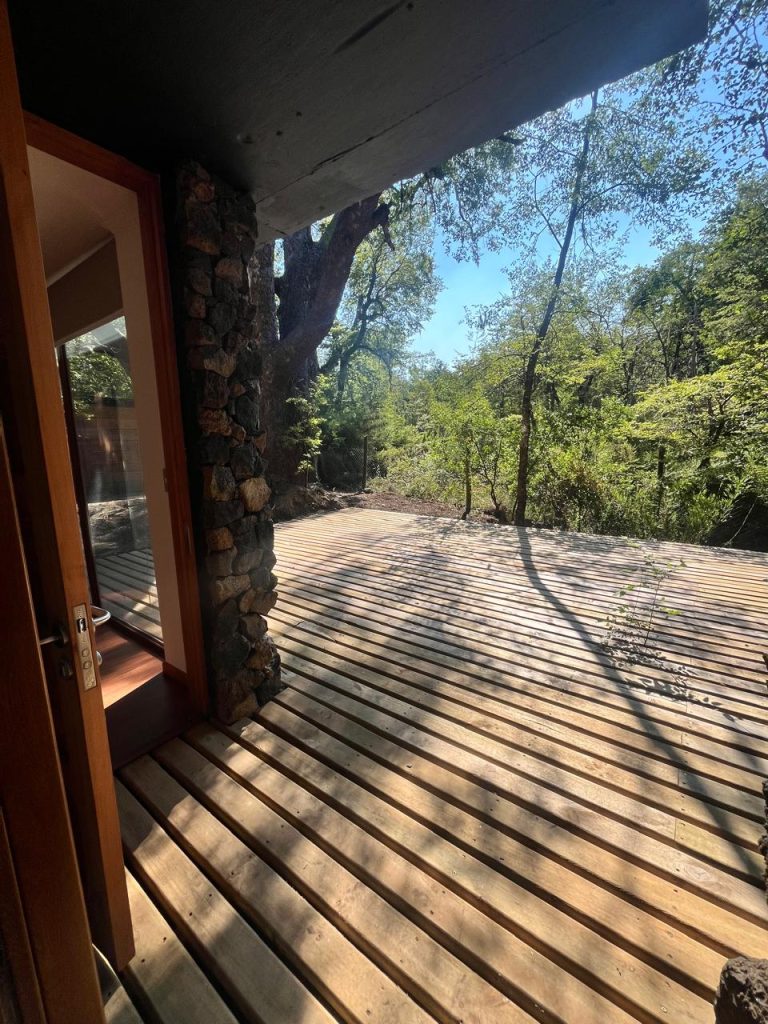 WhatsApp Image 2026-02-26 at 08.37.35