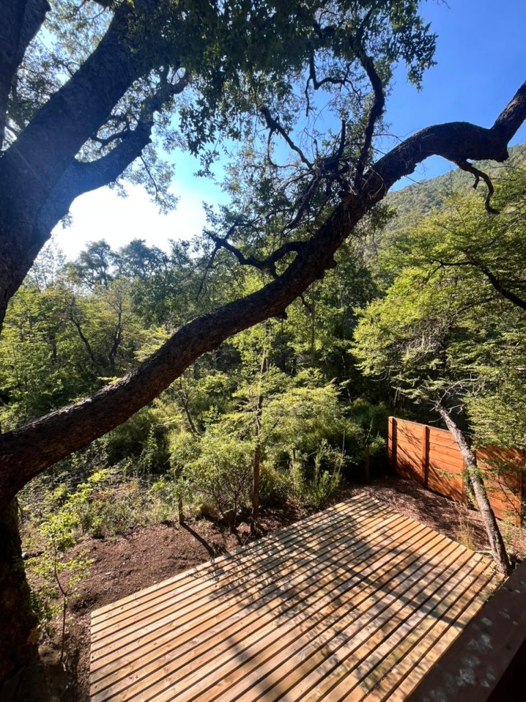 WhatsApp Image 2026-03-02 at 14.50.57 (1)