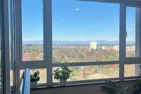 WhatsApp Image 2025-05-27 at 2.16.44 PM