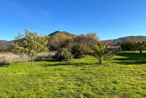 en-venta-casa-colin2-10