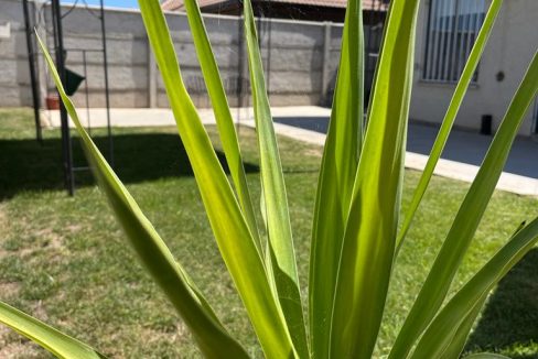 photo-2023-03-09-13-49-08-4