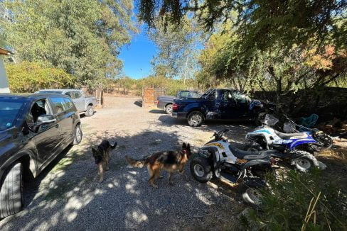 photo-2023-03-28-14-17-31