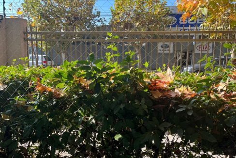 whatsapp-image-2022-05-06-at-12.28.08-pm