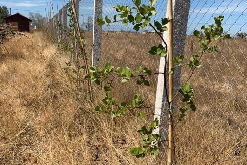 0550f181-e283-4f75-adc6-25129eb5c94d