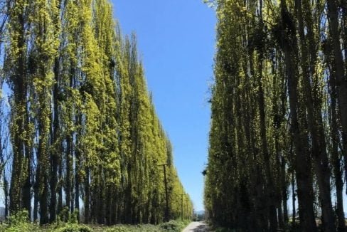 d_nq_np_2x_881477-mlc47756706871_102021-f_edited