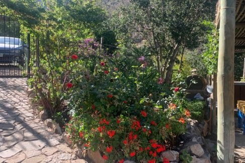 photo-2021-12-28-22-25-32 (1)