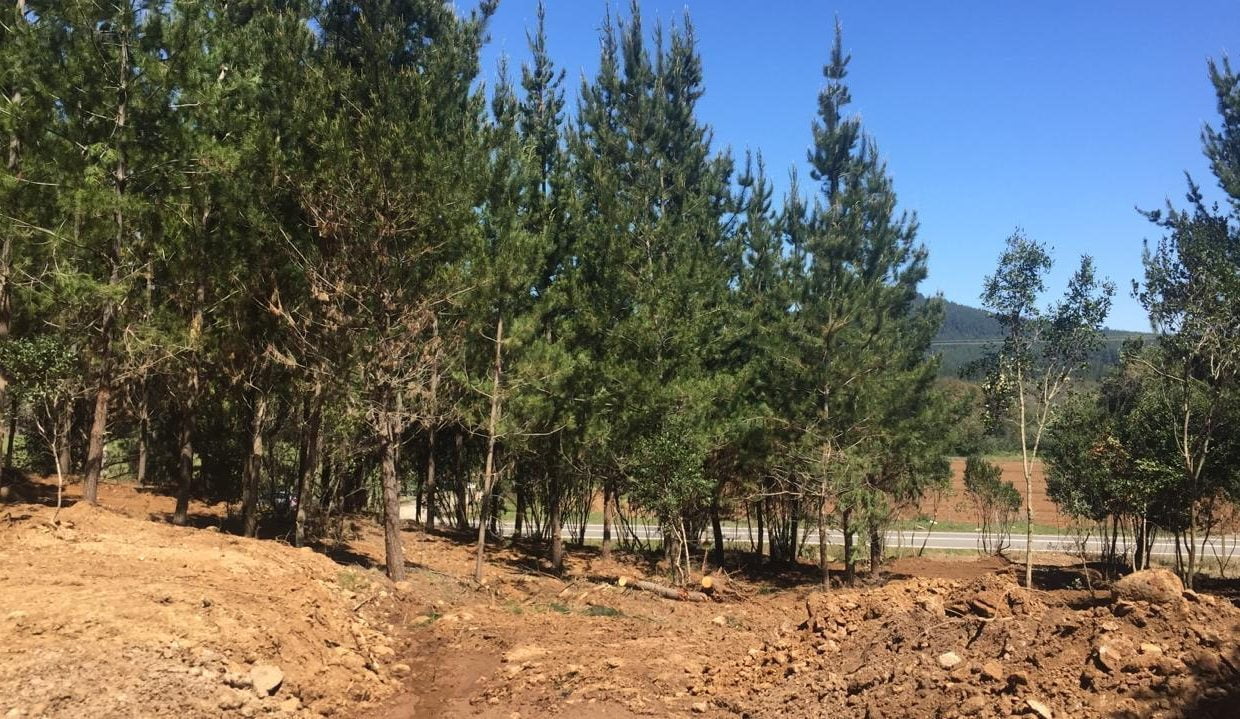 terreno-parral-1