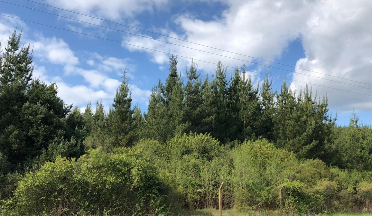 terreno-parral-4
