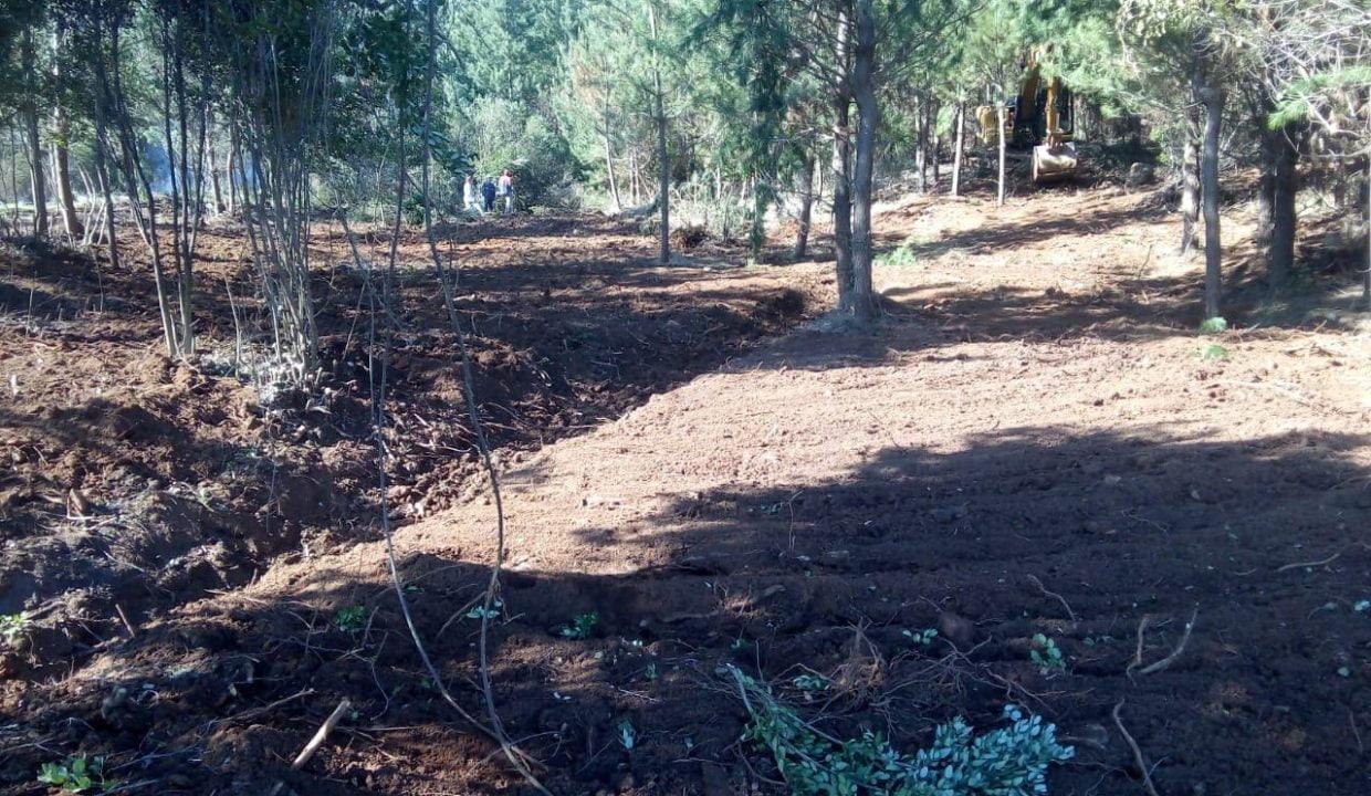 terreno-parral-6