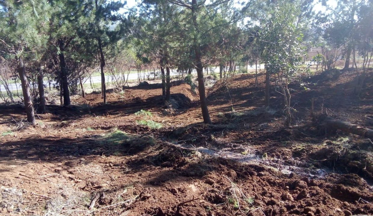 terreno-parral-7