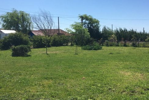 whatsapp-image-2021-12-08-at-11.14.38-pm1