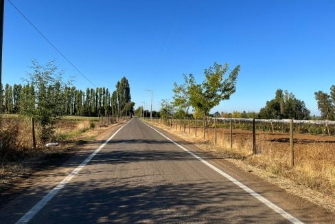 whatsapp-image-2022-03-30-at-1.50.26-pm