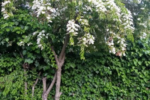 579e54cc-8403-4c39-90d7-1ba797301446