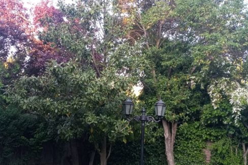 66d45d66-401c-4ca0-a472-77936c7a0267