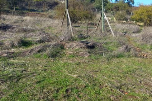 PHOTO-2023-06-23-14-05-44 5