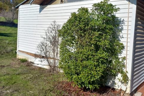 PHOTO-2023-06-23-14-05-45 8