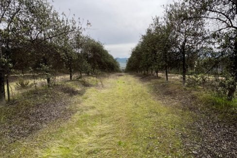 PHOTO-2023-07-08-13-29-46