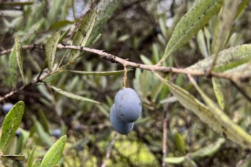 PHOTO-2023-07-08-13-29-47