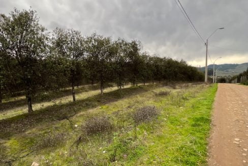 PHOTO-2023-07-08-13-29-48 3