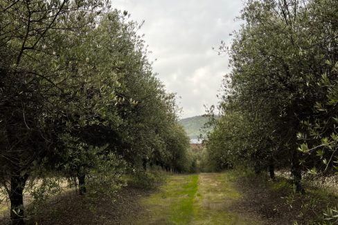 PHOTO-2023-07-08-13-29-49 2