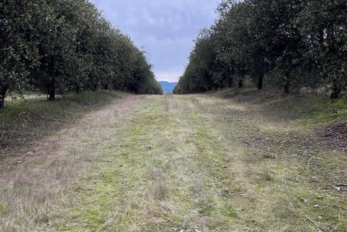 PHOTO-2023-07-08-13-29-49