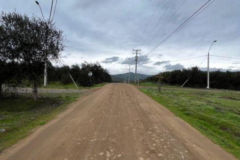 PHOTO-2023-07-08-13-29-50 2