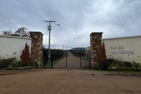 PHOTO-2023-07-08-13-29-50 3