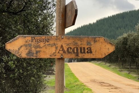 PHOTO-2023-07-08-13-29-50