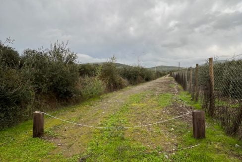 PHOTO-2023-07-08-13-29-51 3