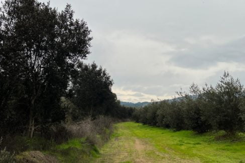 PHOTO-2023-07-08-13-29-52 2