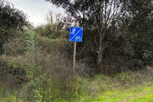 PHOTO-2023-07-08-13-29-52