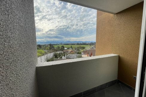 PHOTO-2023-07-26-15-27-35 7