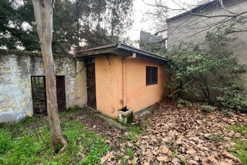 PHOTO-2023-08-28-13-10-31 3