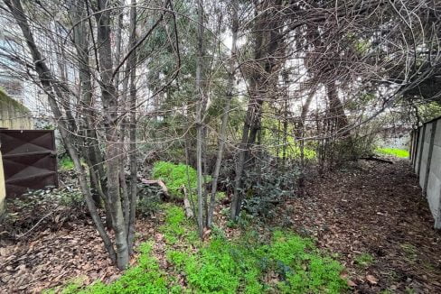 PHOTO-2023-08-28-13-10-31