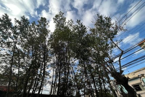 PHOTO-2023-08-28-13-10-31 9