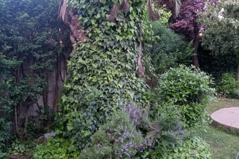 c07b9d30-75f3-41a5-b5a1-e83b55dcdd57