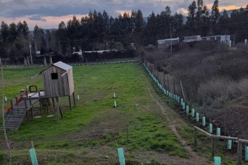 PHOTO-2023-09-09-14-10-15 2