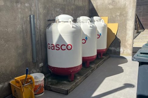 a6f32e51-c124-4f12-961e-59105b19af9f