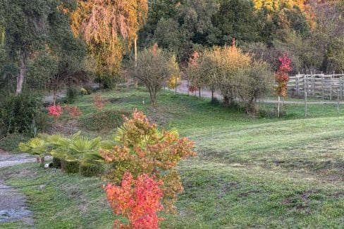 0a54f7ac-100f-4c21-bf5b-b089a4344ecc