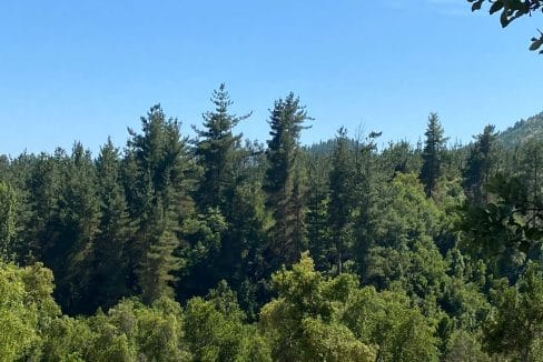 9e64e992-ca4e-4887-b479-0e4f7971a482