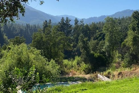 b11e697b-da5c-4e2c-abb5-917fa1be6b98