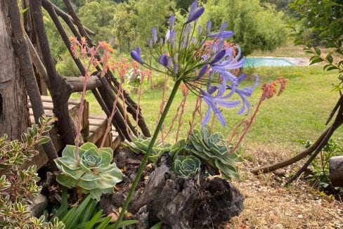 cec4ce7d-b4ba-4c4a-95ea-5cc7bf65ae21