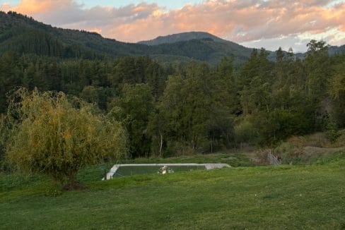 e9f8f886-31e0-458a-a06d-fd44d7489a50