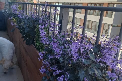 8fe57782-a628-46d3-b861-f455f164ece0