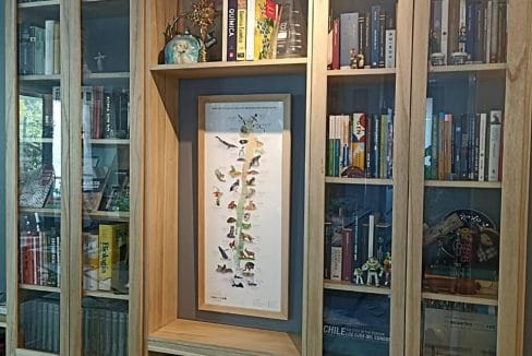 cef1645b-845d-483f-bb49-7dfbb08a7d19