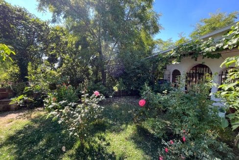 725e648d-9188-419b-aab4-8d7adf6c373e