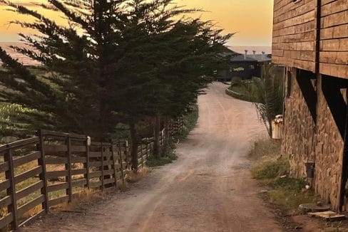 WhatsApp Image 2025-05-26 at 1.03.06 PM (3)