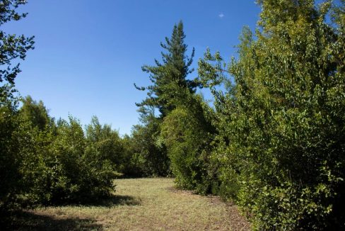 WhatsApp Image 2025-07-14 at 10.20.58 AM (1)