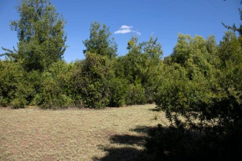 WhatsApp Image 2025-07-14 at 10.20.58 AM