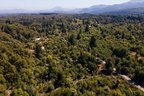 WhatsApp Image 2025-07-14 at 10.20.59 AM (1)